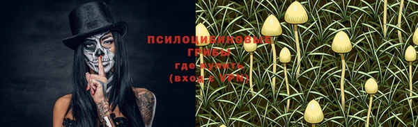 марки lsd Алексеевка